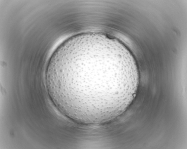 X0000091341283200708101013