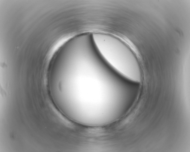 X0000091341285200708101013