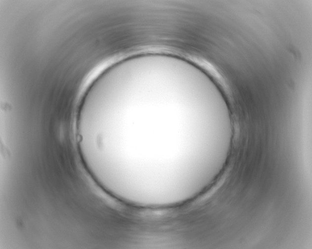X0000091341286200708101013