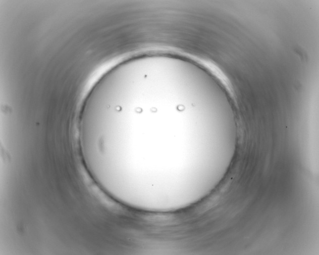 X0000091341287200708101013