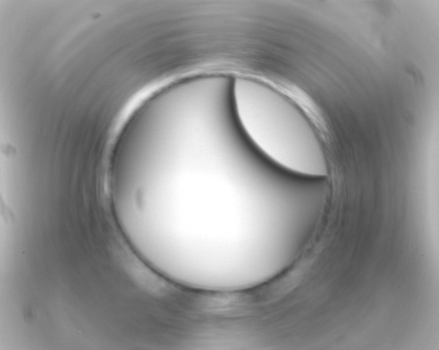 X0000091341288200708101013