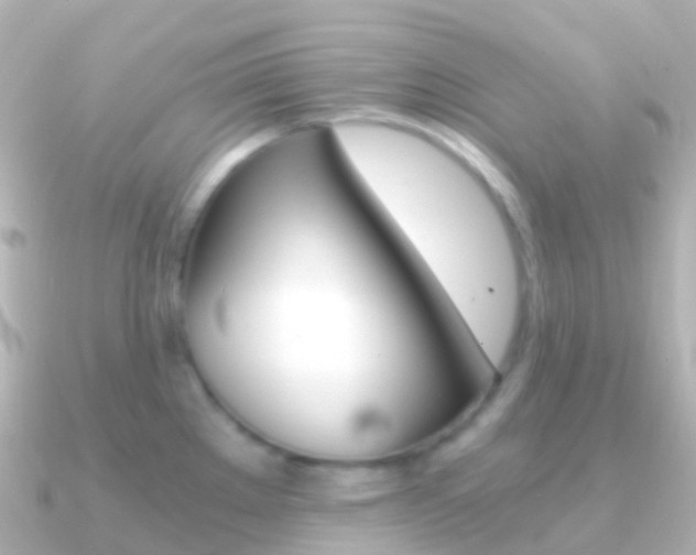 X0000091341289200708101013