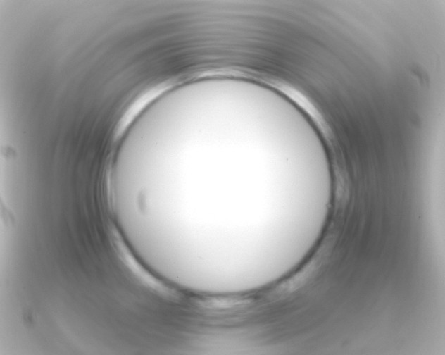 X0000091341290200708101013