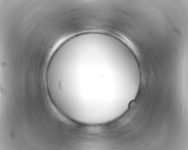 X0000091341291200708101013