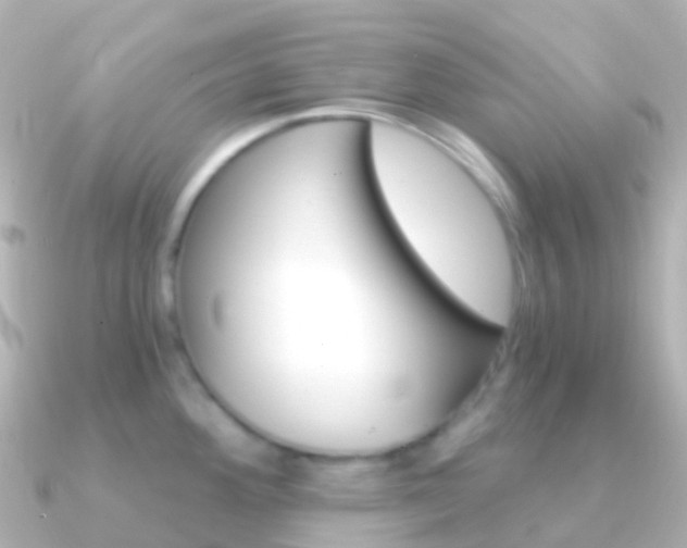 X0000091341292200708101013