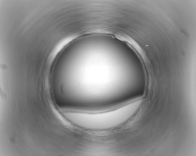 X0000091341293200708101013