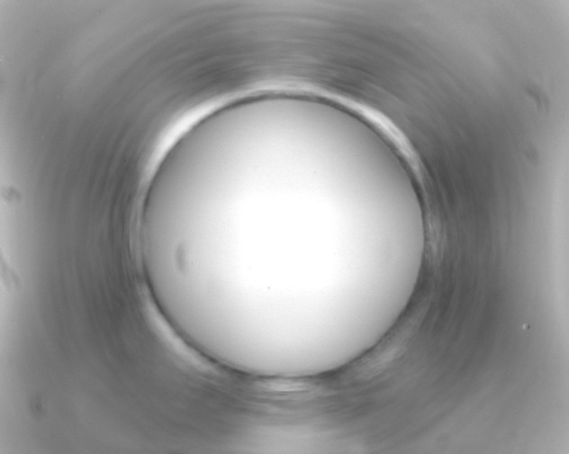 X0000091341295200708101013