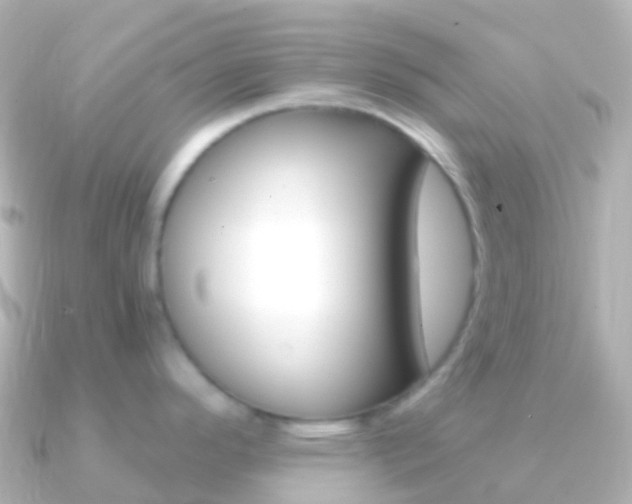 X0000091341296200708101013