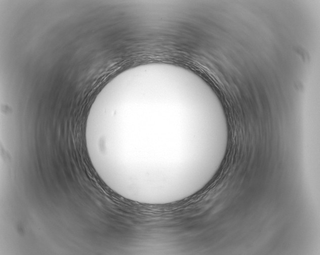 X0000091341298200708101012