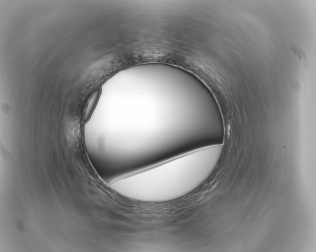 X0000091341299200708101012