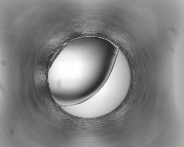 X0000091341300200708101012