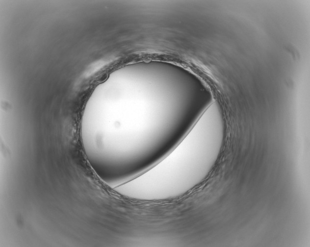 X0000091341303200708101012