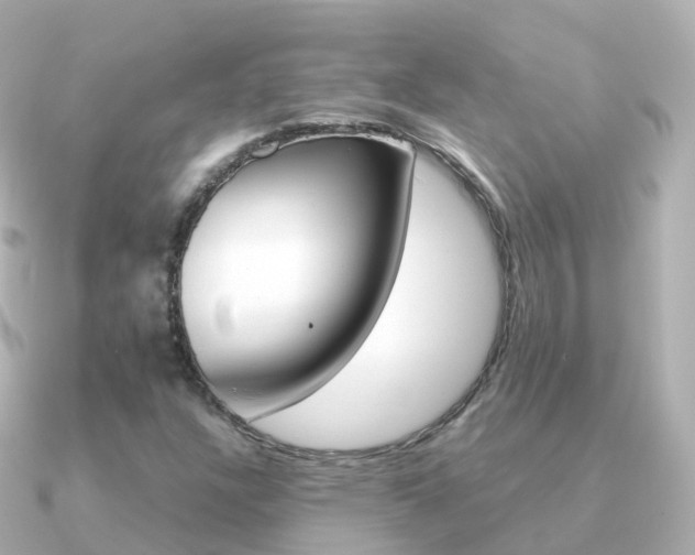 X0000091341304200708101012