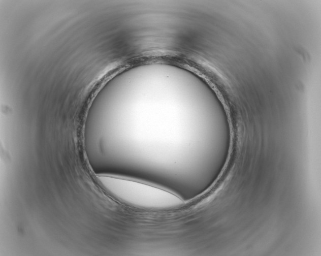 X0000091341305200708101012