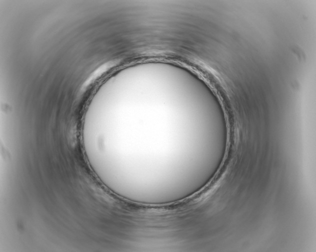 X0000091341306200708101012