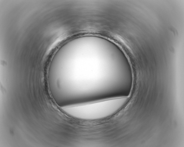 X0000091341307200708101012