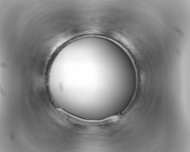 X0000091341308200708101012
