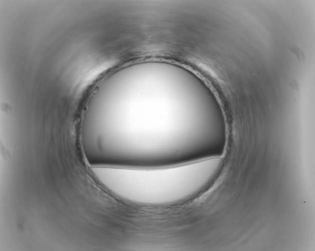 X0000091341309200708101012