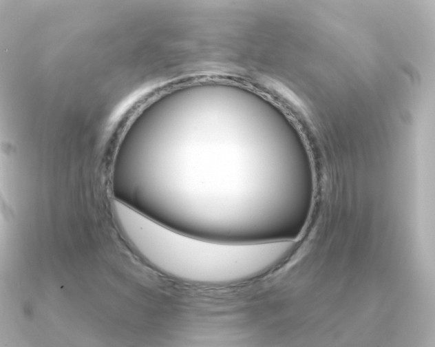 X0000091341310200708101012