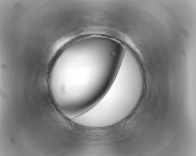 X0000091341312200708101012