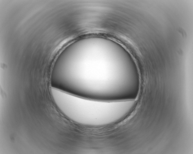 X0000091341313200708101012