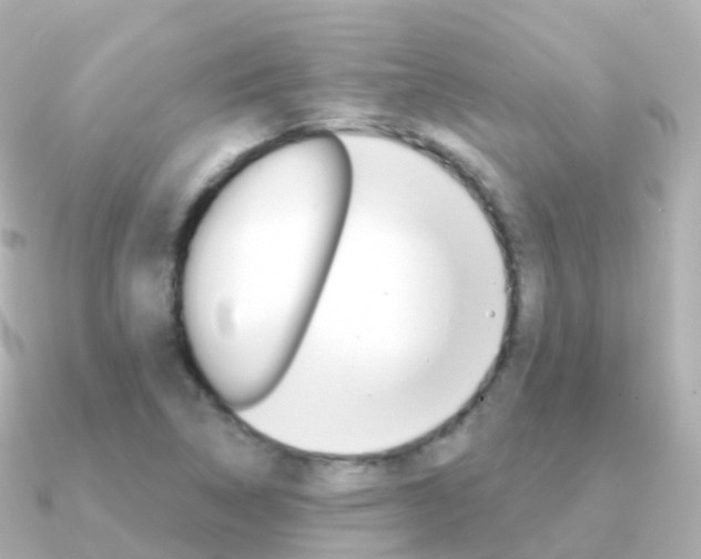 X0000091341314200708101012