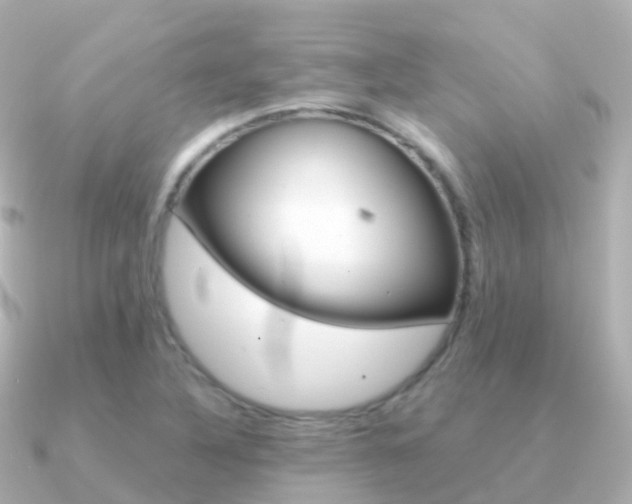 X0000091341316200708101012