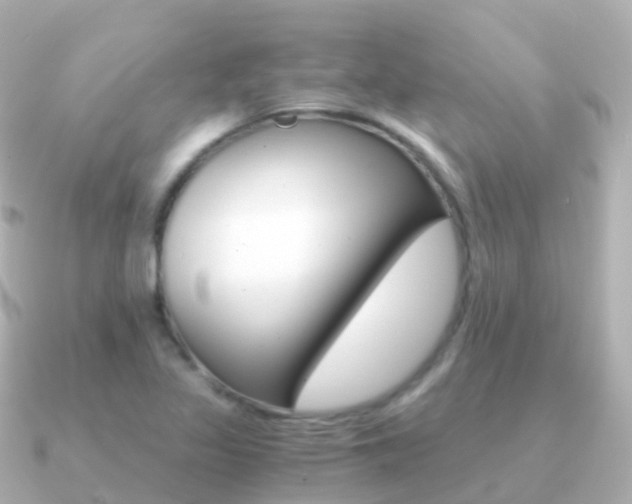 X0000091341317200708101012