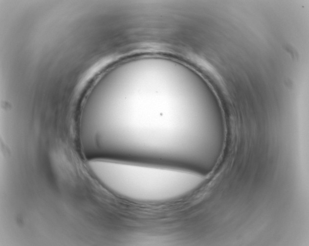 X0000091341318200708101012