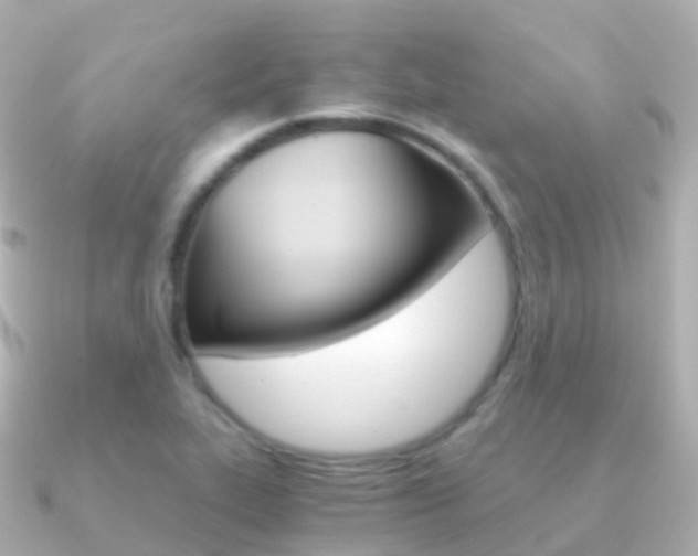 X0000091341319200708101012