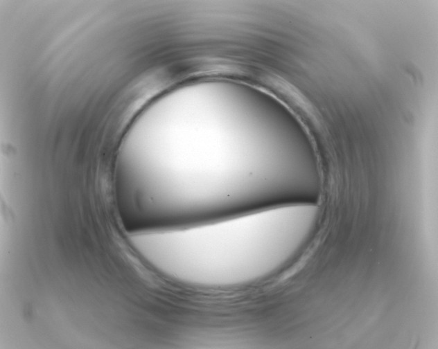 X0000091341321200708101012