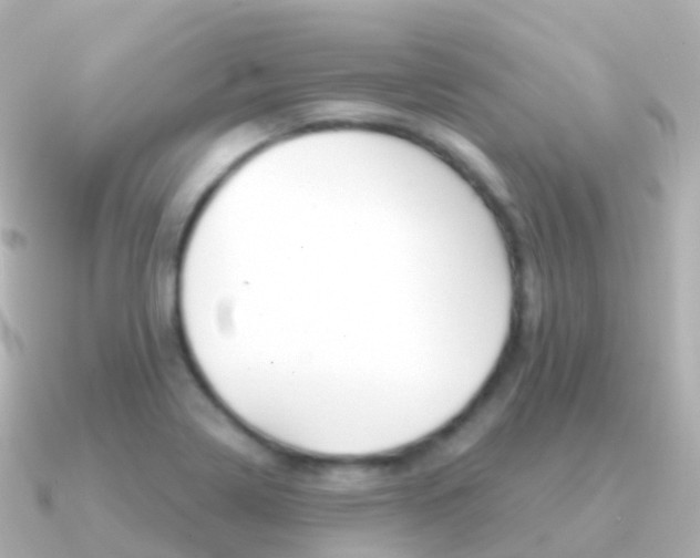 X0000091341322200708101012