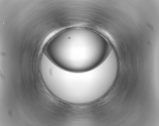 X0000091341324200708101012