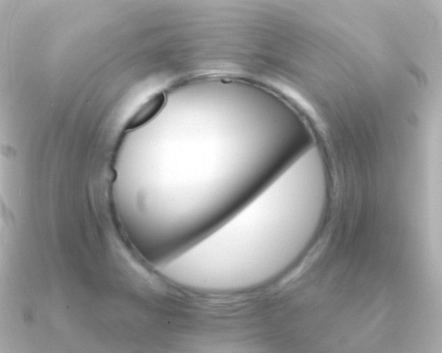 X0000091341325200708101012