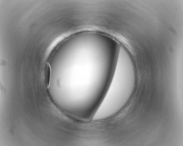 X0000091341326200708101012