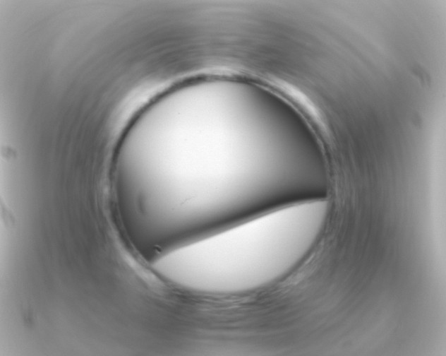 X0000091341327200708101012