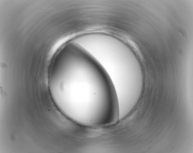 X0000091341328200708101012