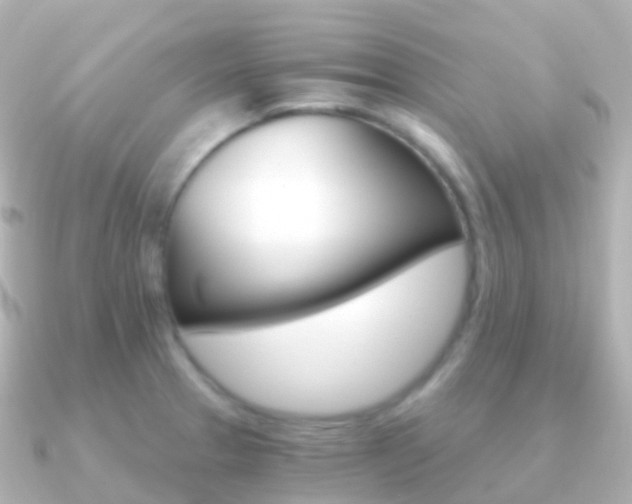 X0000091341329200708101012