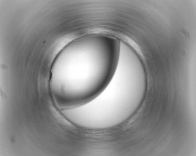 X0000091341330200708101012