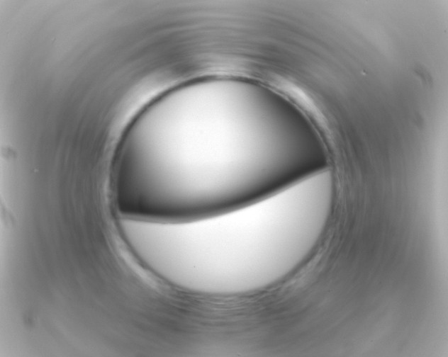 X0000091341331200708101012