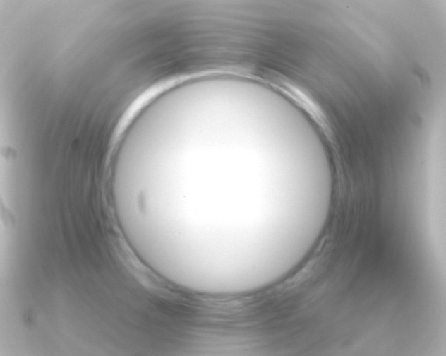 X0000091341332200708101012