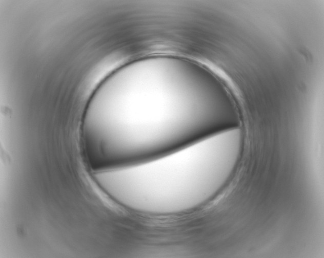 X0000091341333200708101012