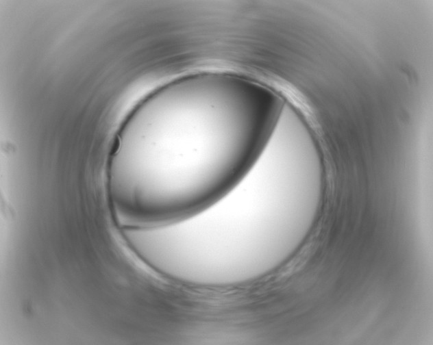 X0000091341334200708101012