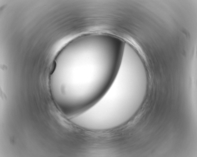 X0000091341336200708101012