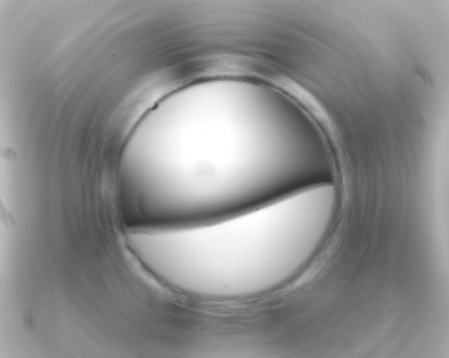 X0000091341337200708101012