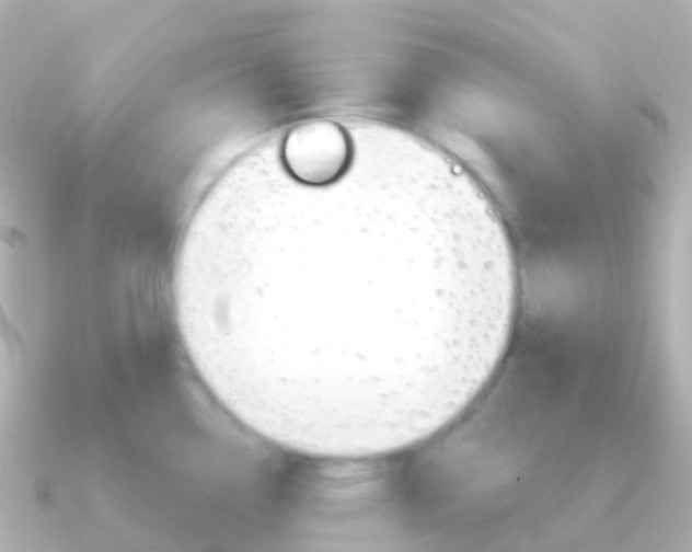 X0000091341338200708101012