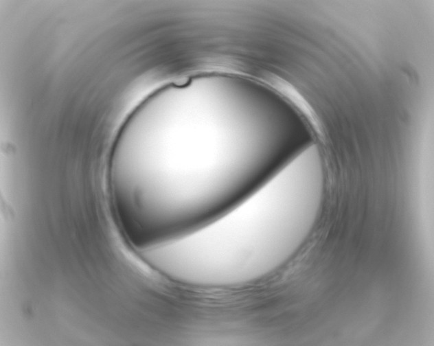 X0000091341339200708101012