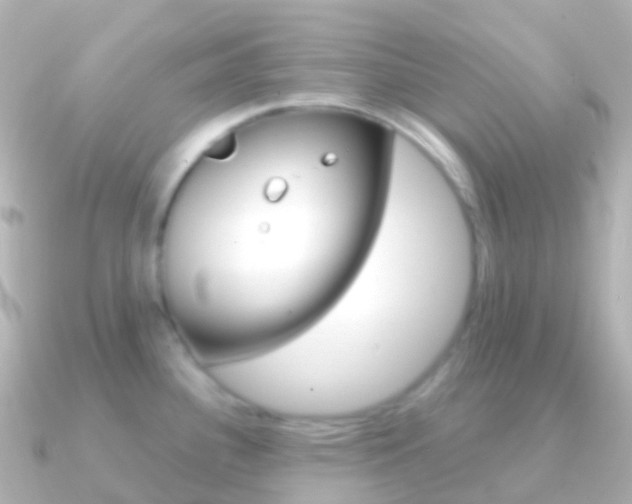 X0000091341340200708101012