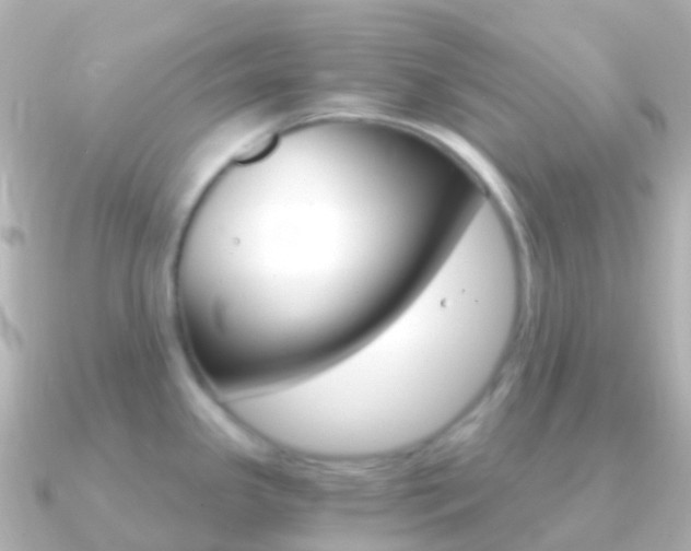 X0000091341341200708101012