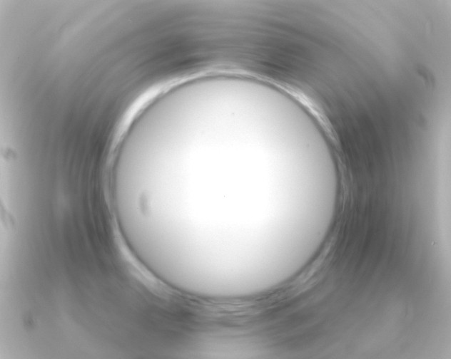 X0000091341342200708101012